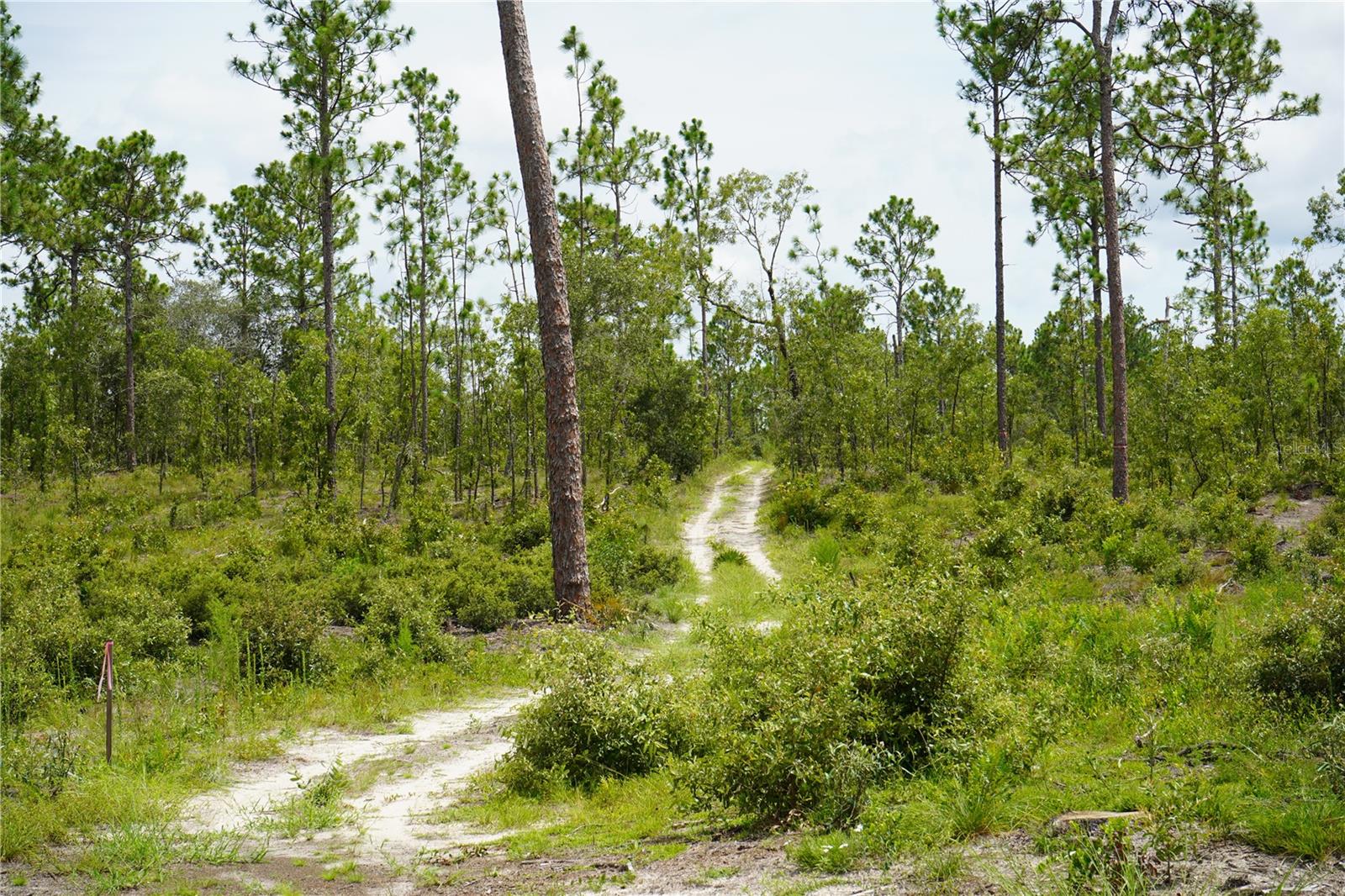 SE STATE ROAD 121 LOT A & B, MORRISTON, FL