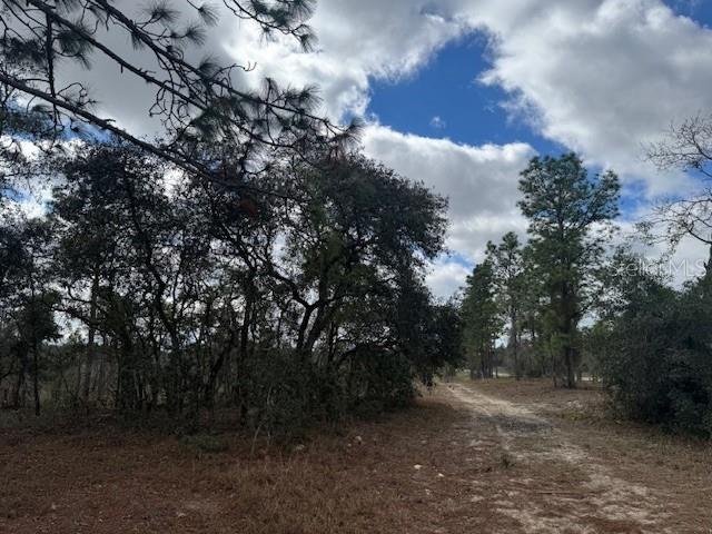 SE STATE ROAD 121 LOT A & B, MORRISTON, FL — photo 8