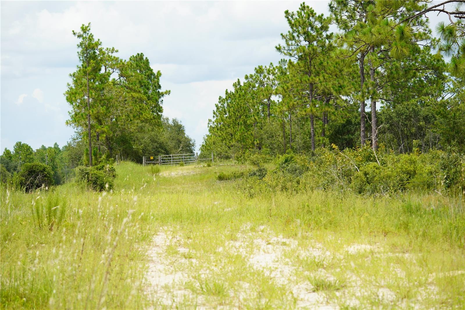 SE STATE ROAD 121 LOT C & D, MORRISTON, FL — photo 4