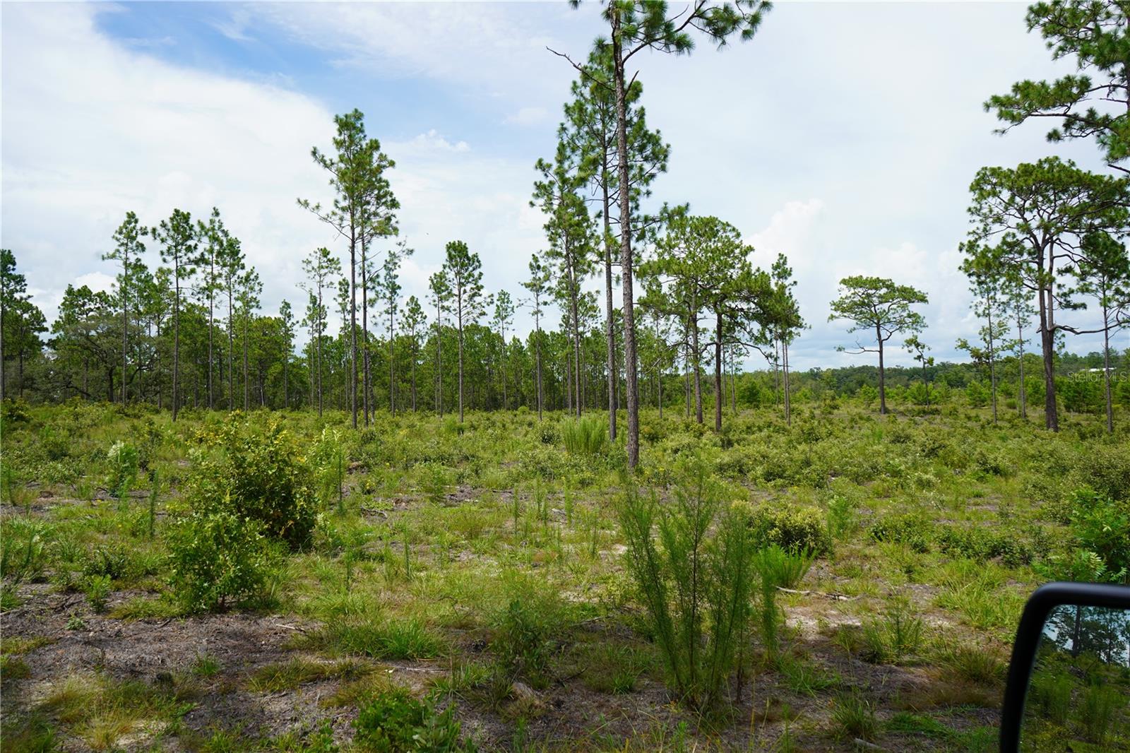 SE STATE ROAD 121 LOT C & D, MORRISTON, FL — photo 13