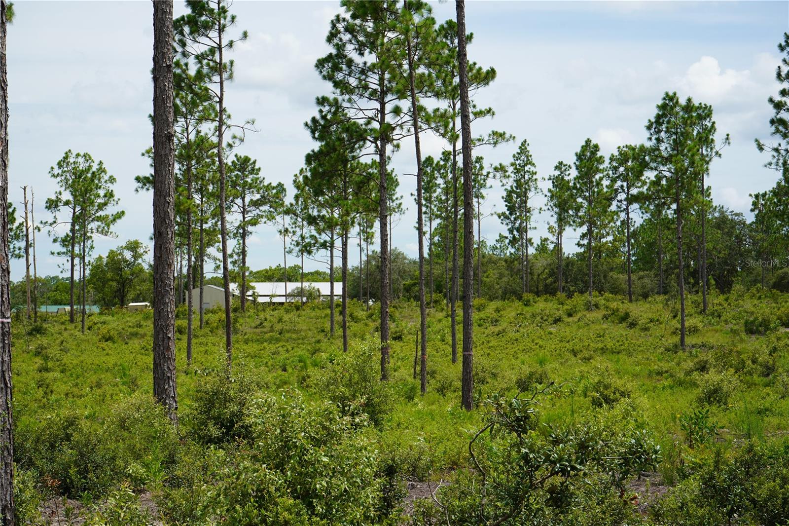 SE STATE ROAD 121 LOT C & D, MORRISTON, FL — photo 15