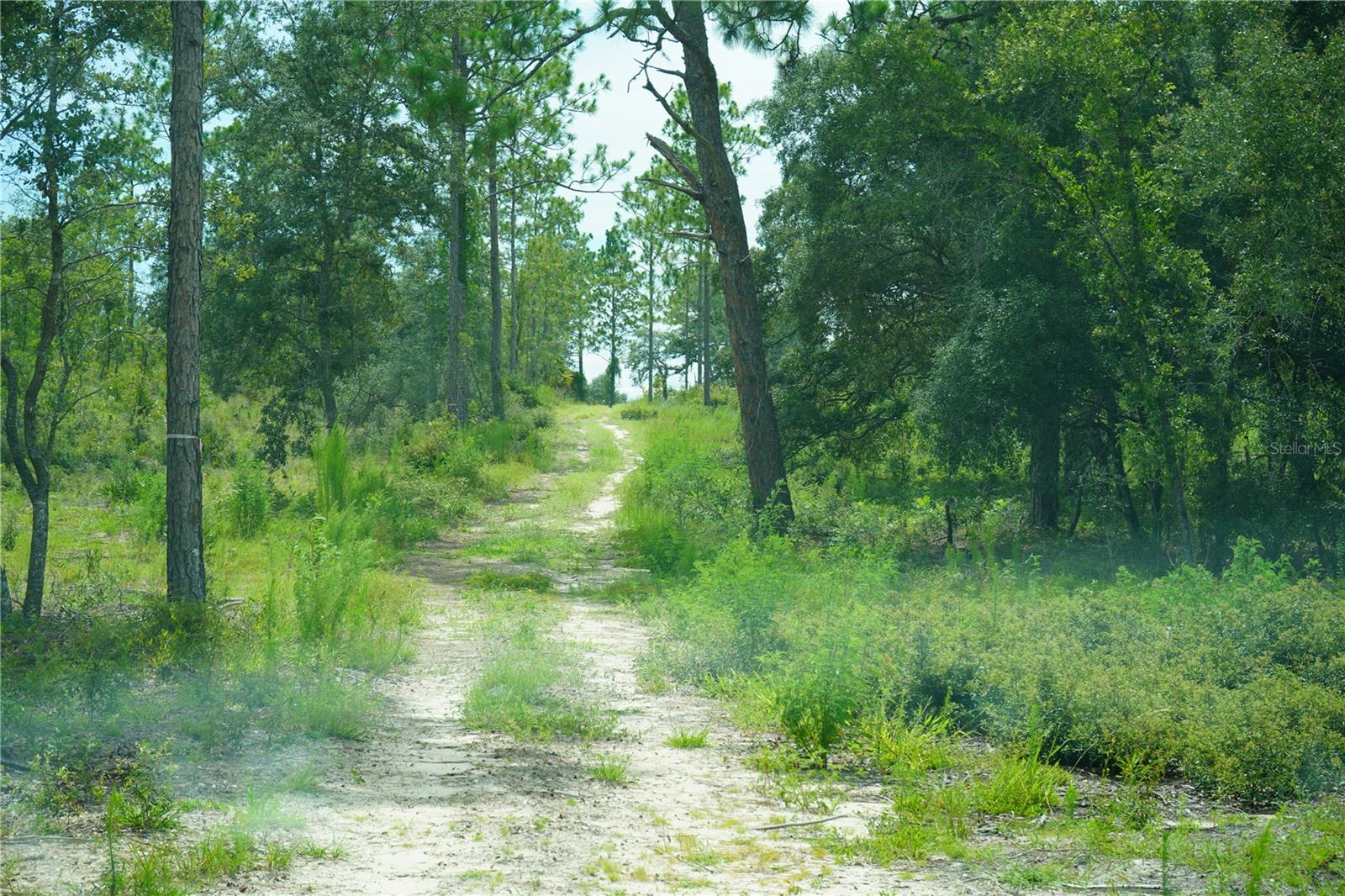 SE STATE ROAD 121 LOT C & D, MORRISTON, FL — photo 20