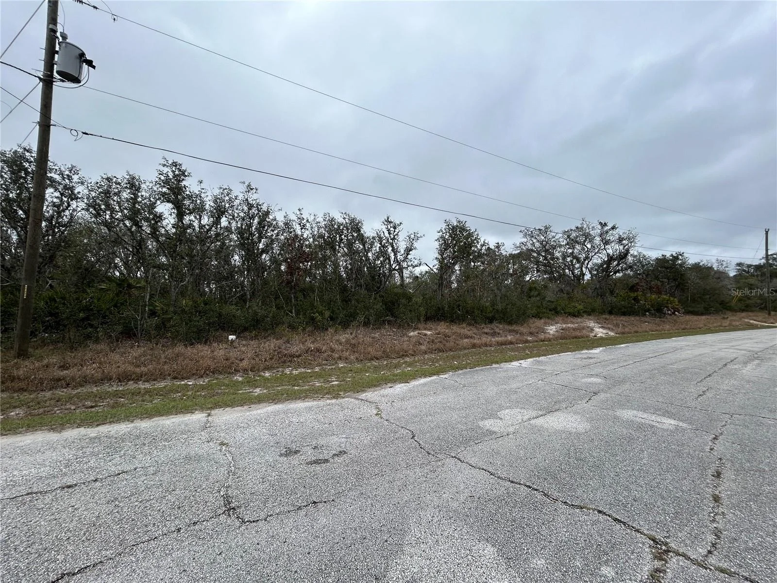 509 SARASOTA LN, KISSIMMEE, FL — photo 3