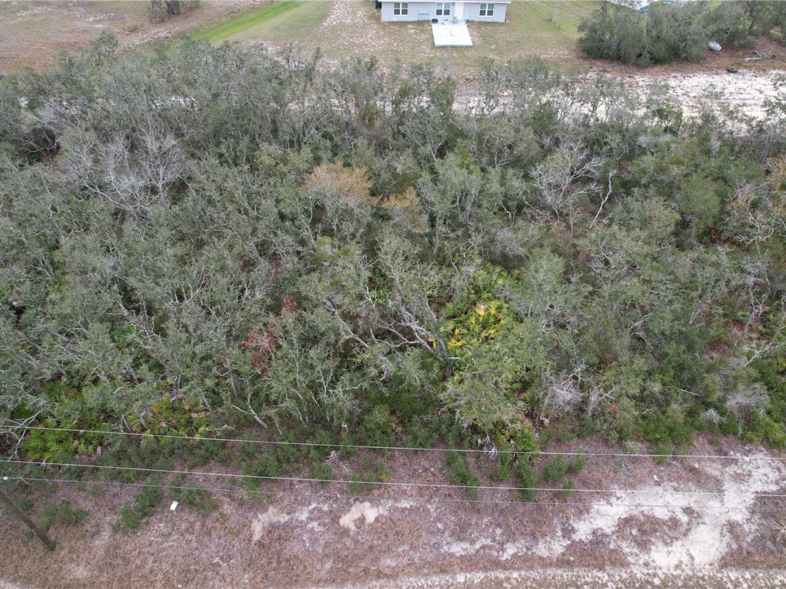 509 SARASOTA LN, KISSIMMEE, FL — photo 11