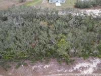 509 SARASOTA LN — photo 11