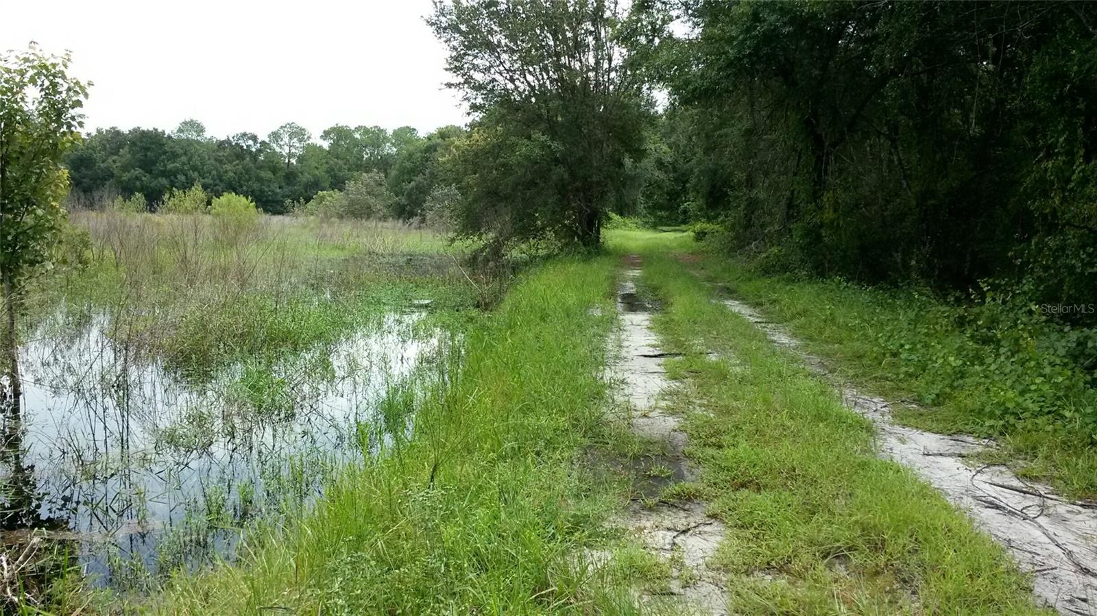 CR 772B, WEBSTER, FL — photo 21