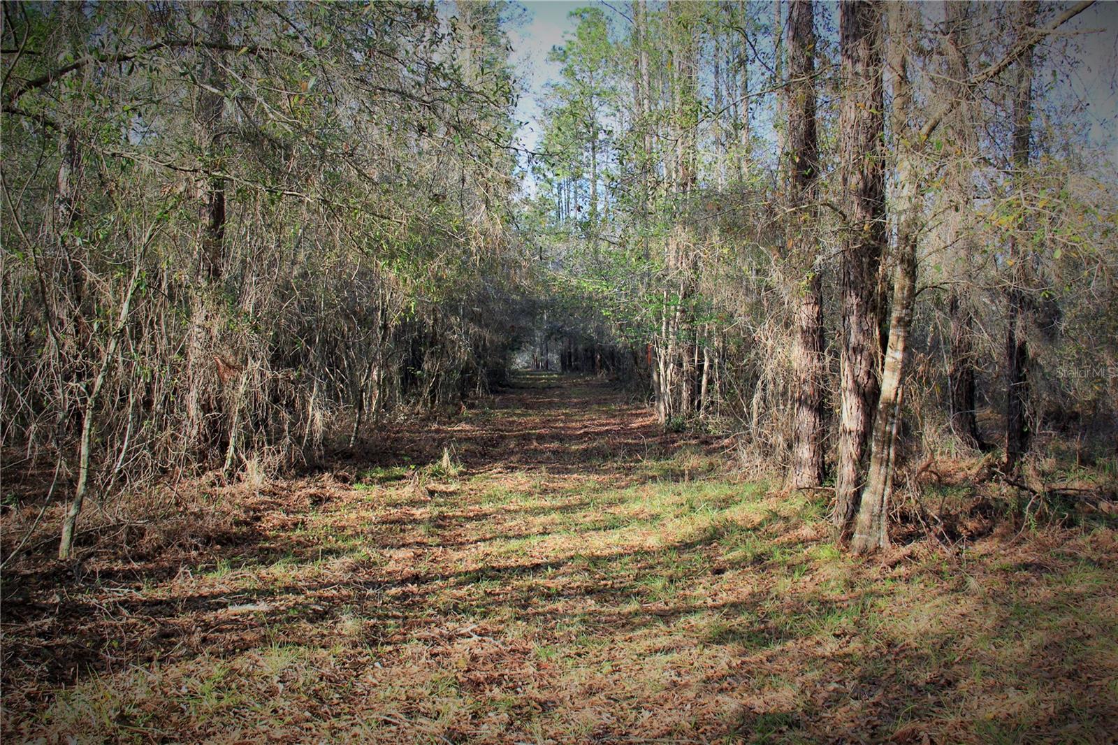 CR 772B, WEBSTER, FL — photo 24