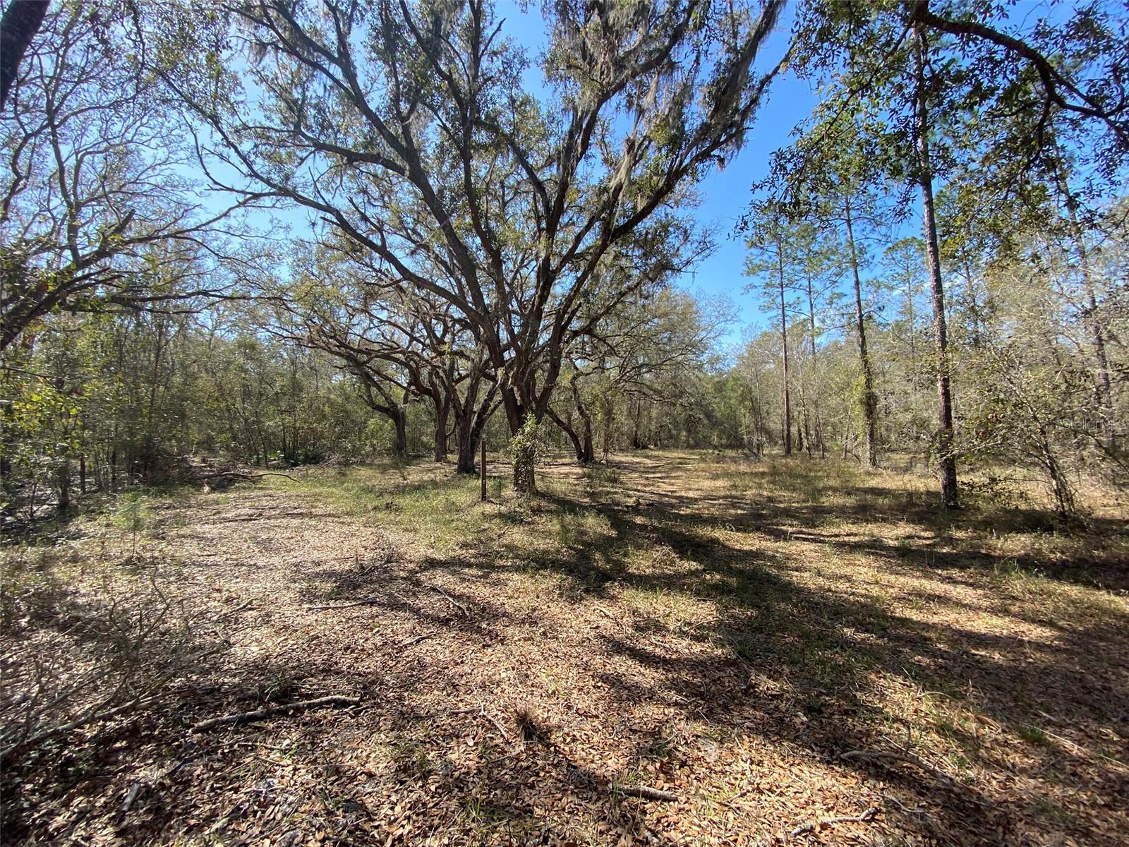 CR 772B, WEBSTER, FL — photo 2