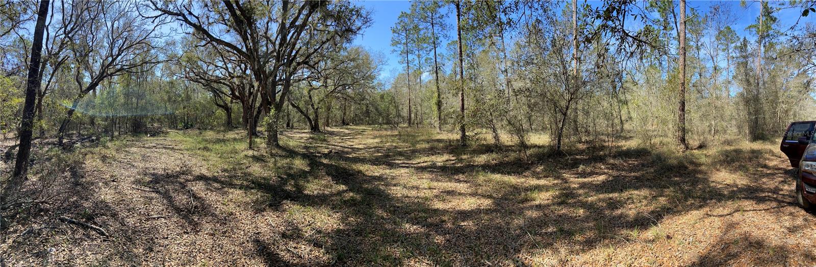 CR 772B, WEBSTER, FL — photo 15