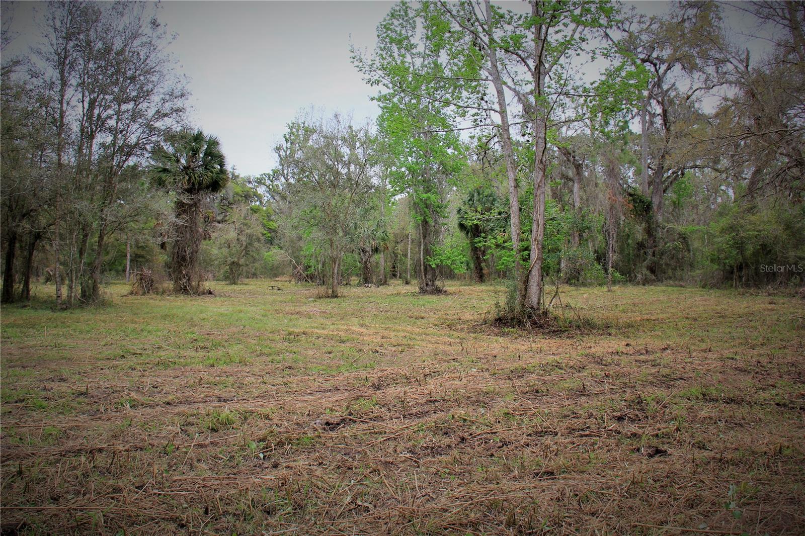 CR 772B, WEBSTER, FL — photo 9