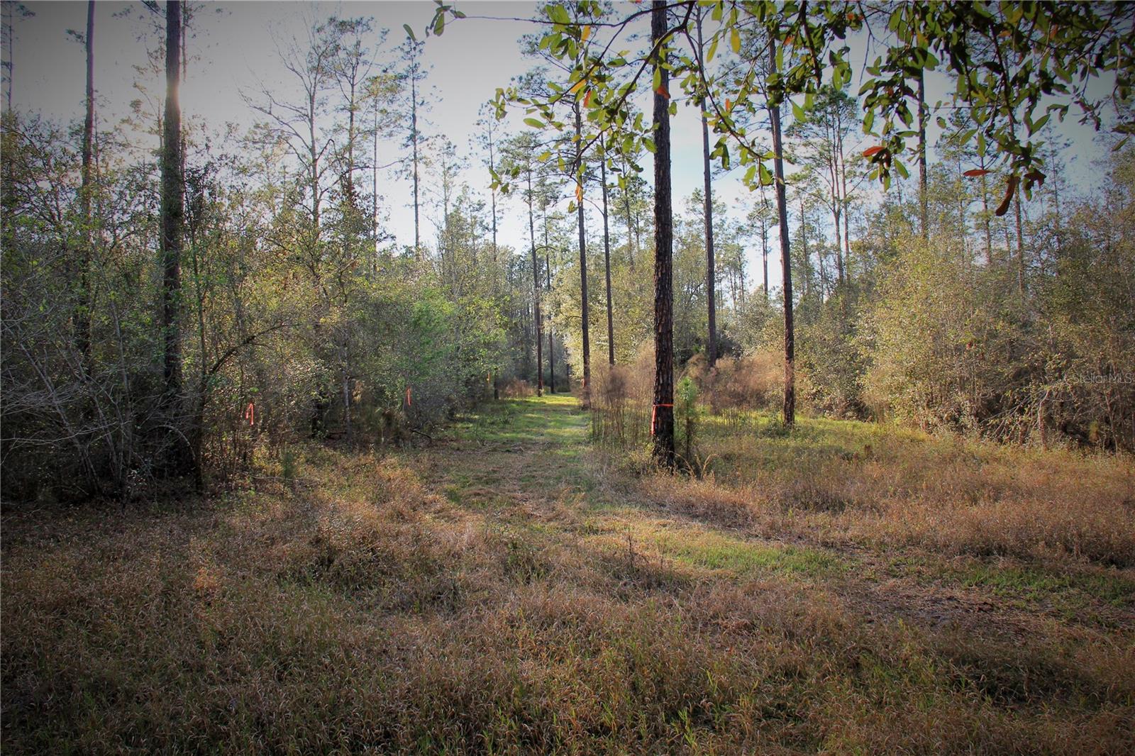 CR 772B, WEBSTER, FL — photo 11