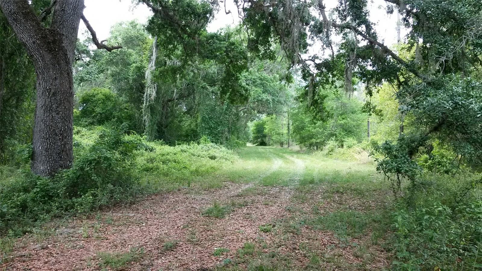 CR 772B, WEBSTER, FL — photo 12