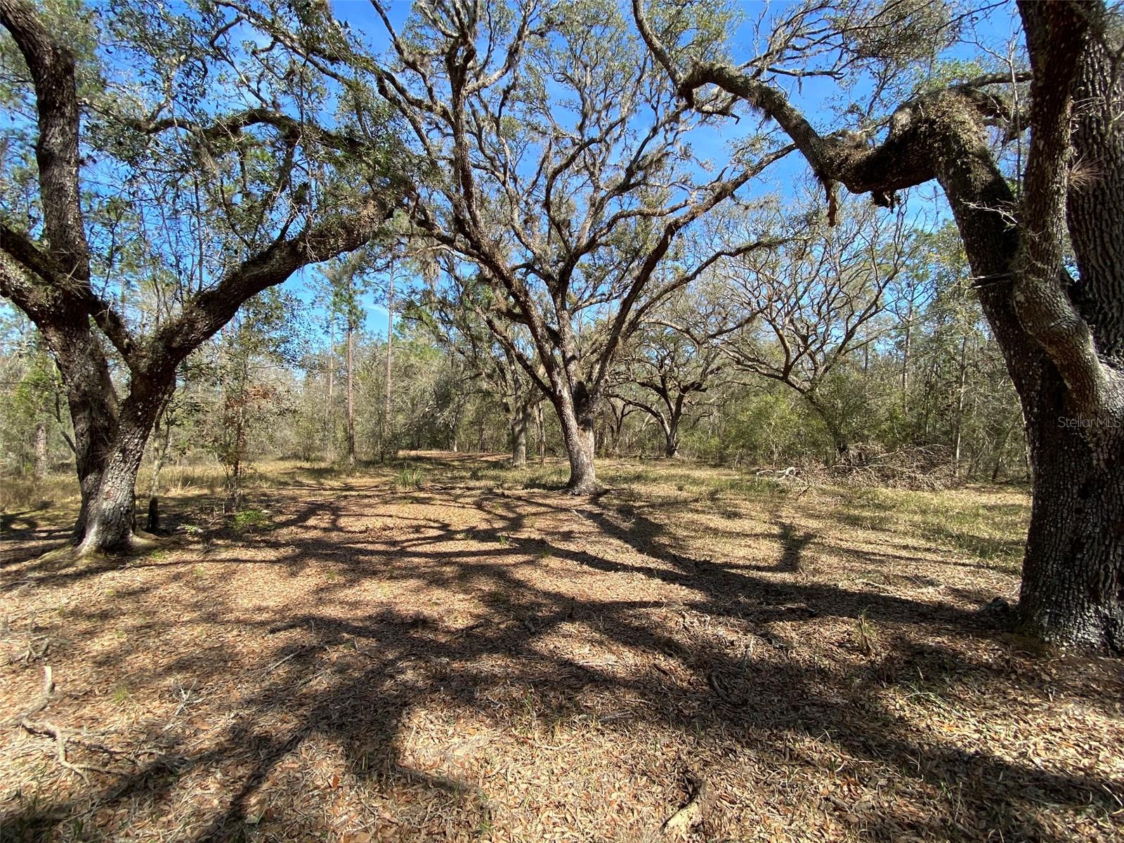 CR 772B, WEBSTER, FL — photo 16