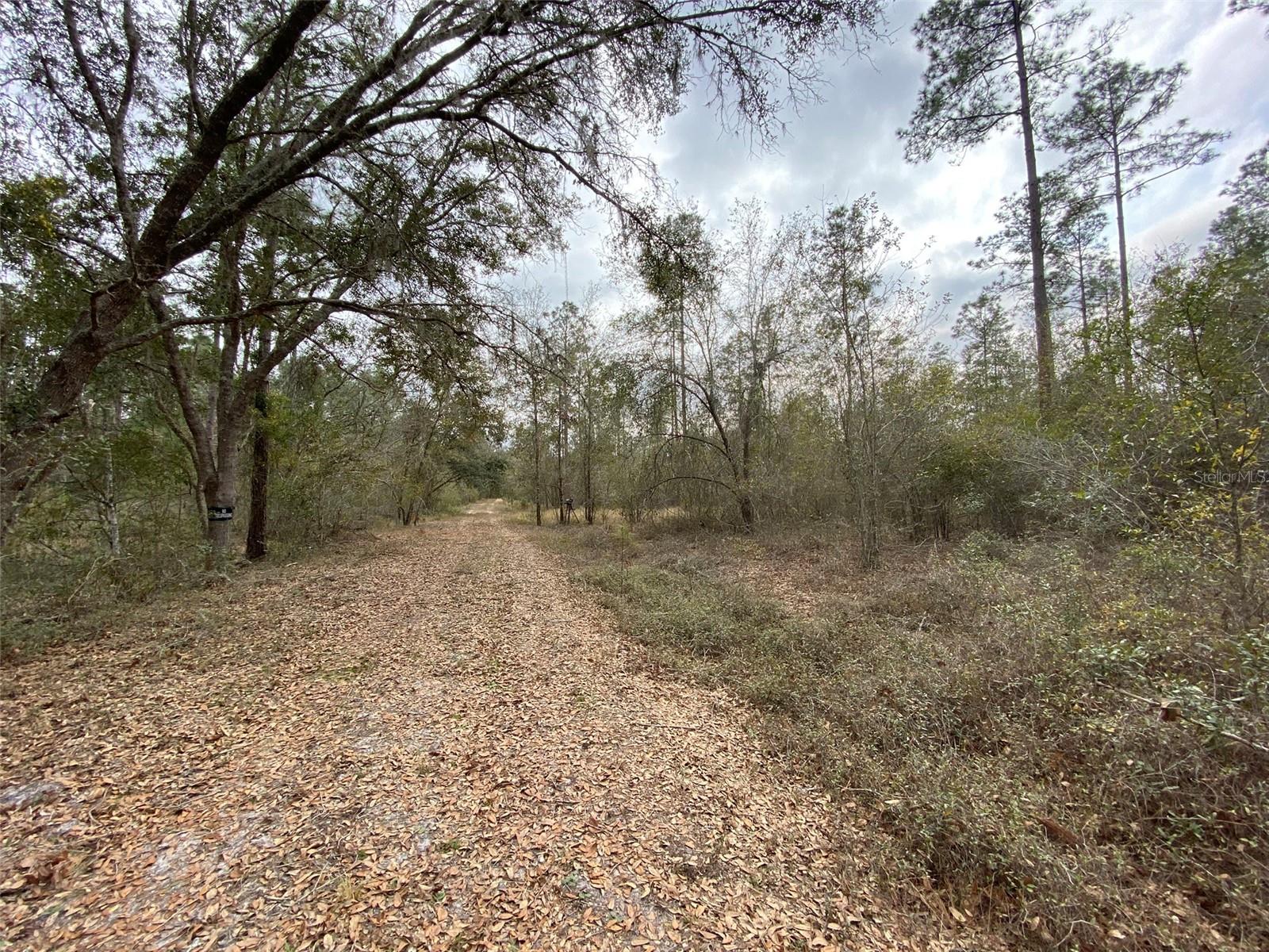 CR 772B, WEBSTER, FL — photo 18
