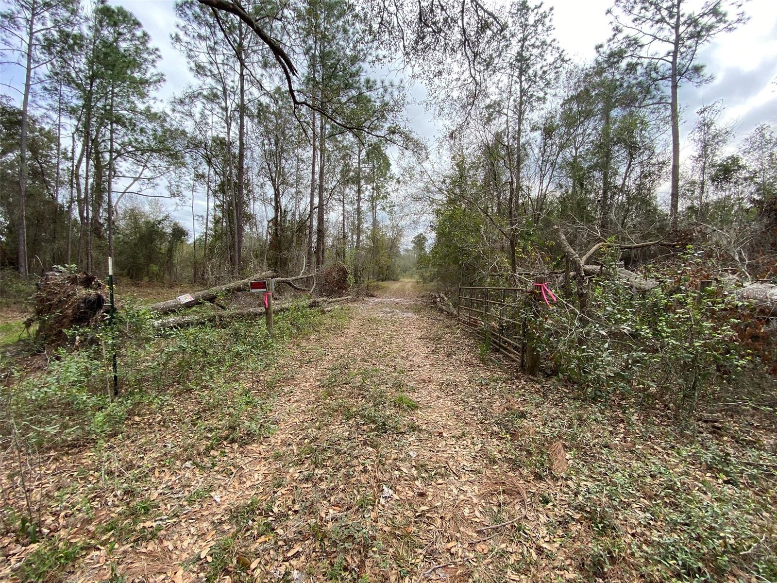 CR 772B, WEBSTER, FL — photo 19