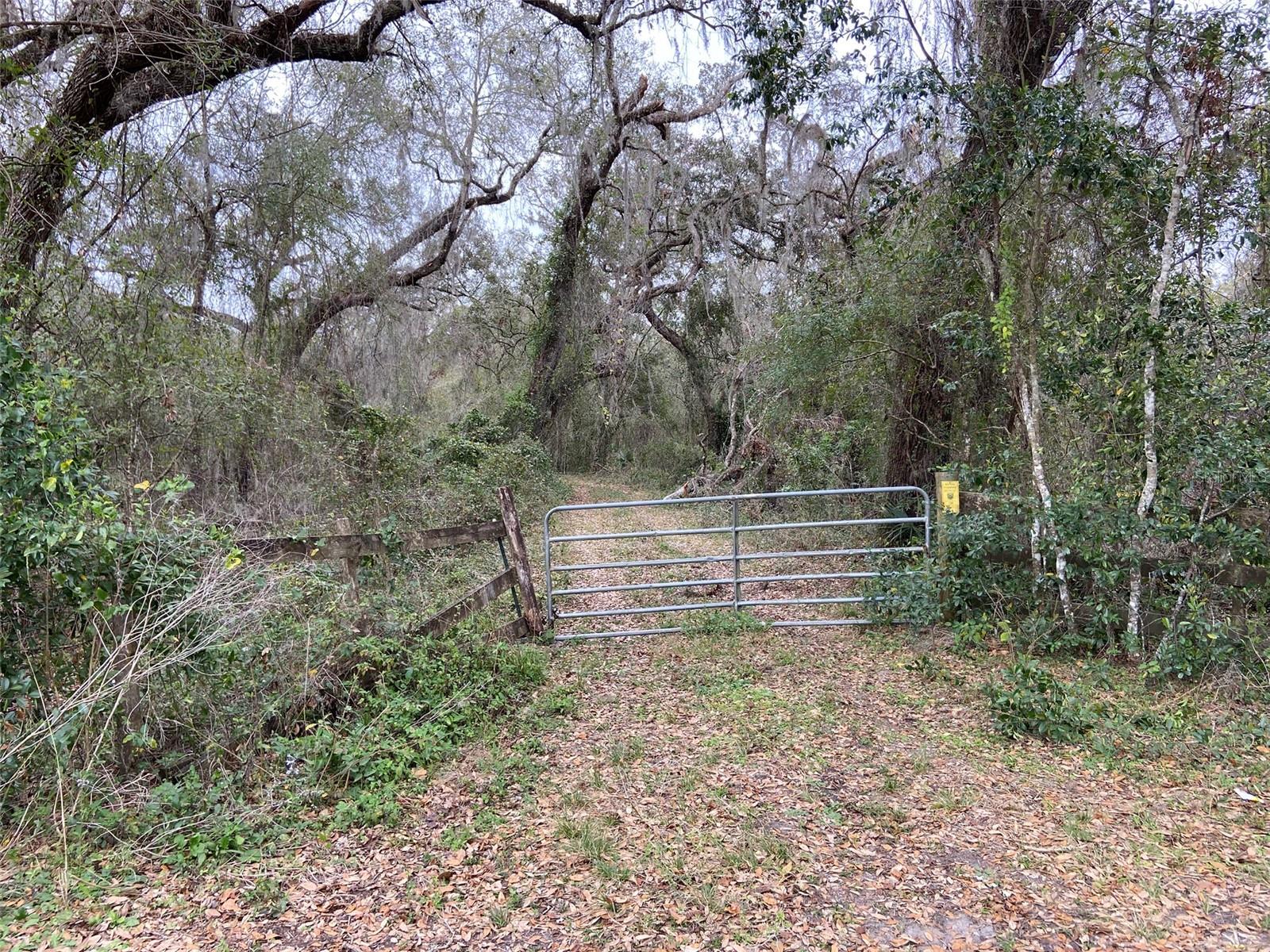 CR 772B, WEBSTER, FL — photo 20