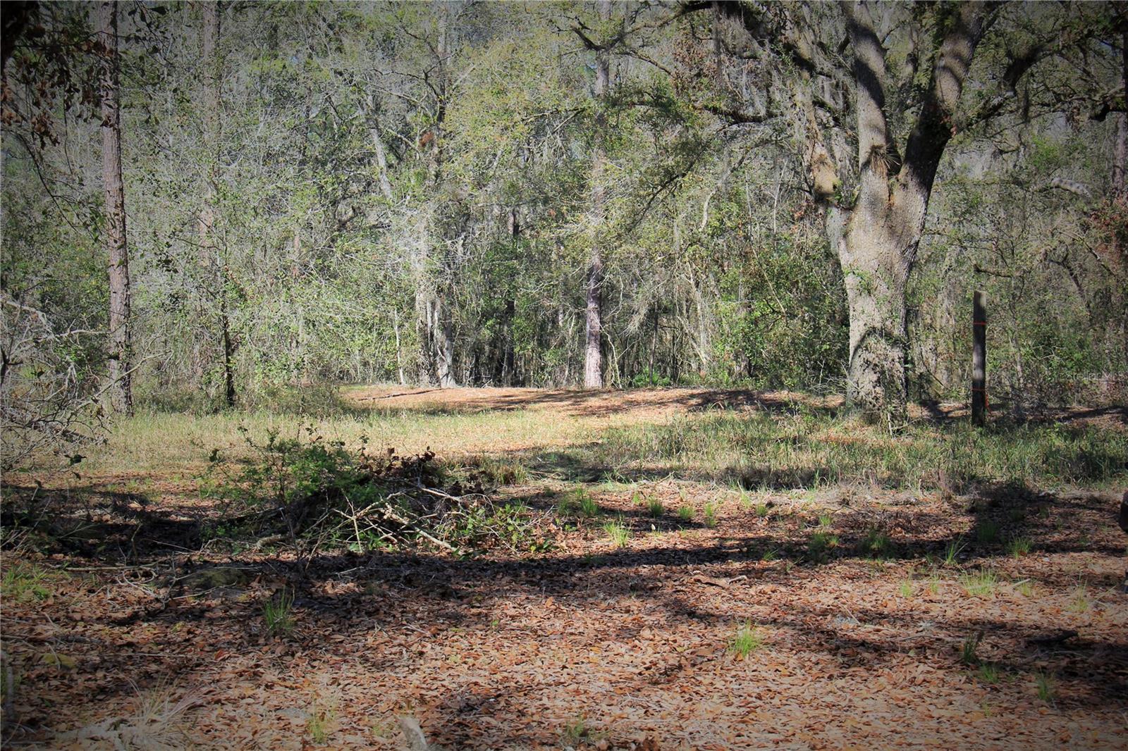 CR 772B, WEBSTER, FL — photo 22