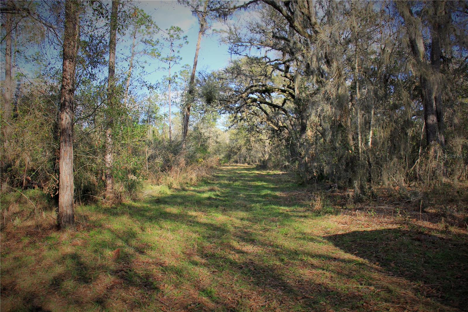 CR 772B, WEBSTER, FL — photo 23