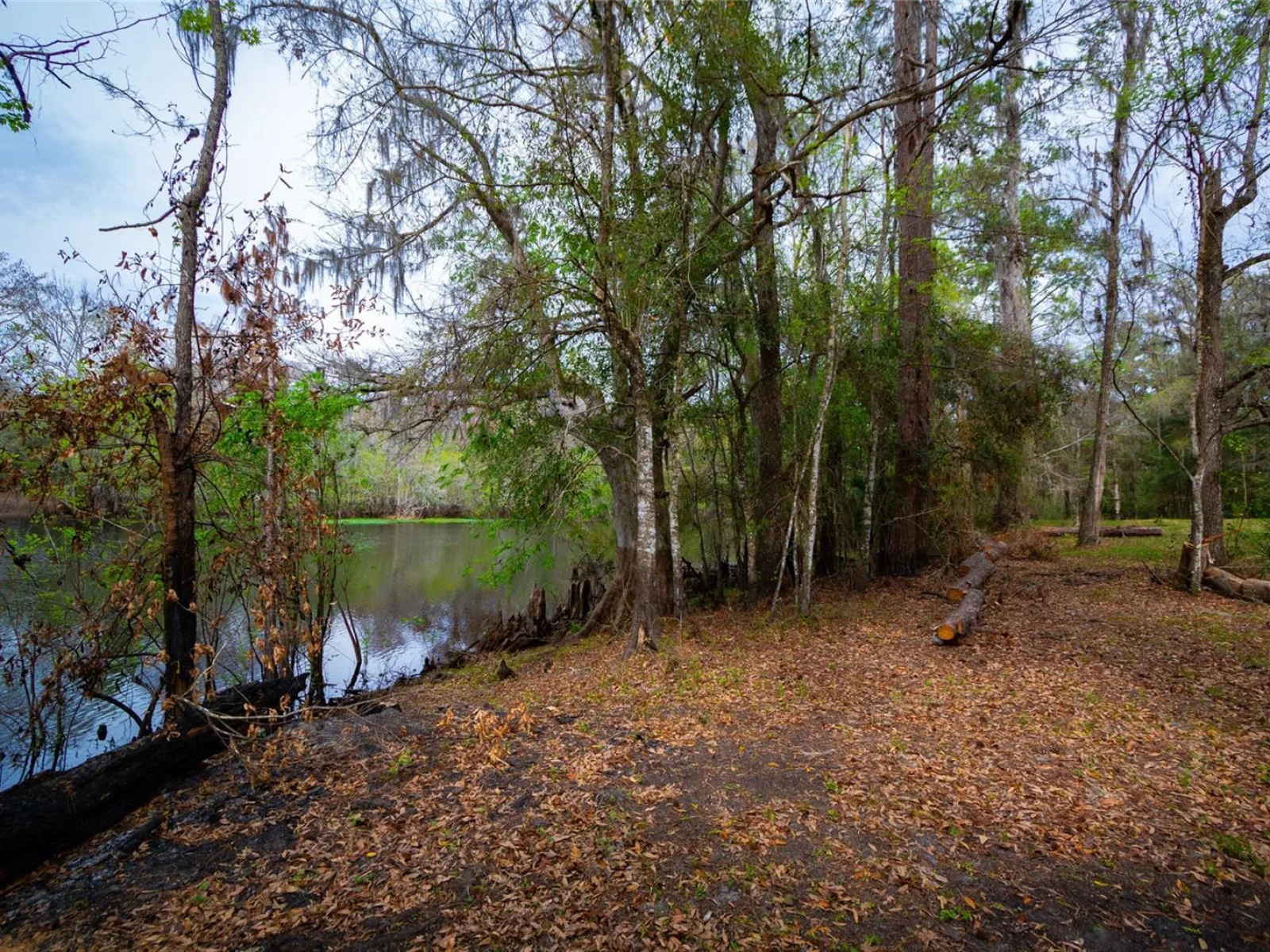 7822 CR 647, BUSHNELL, FL — photo 1