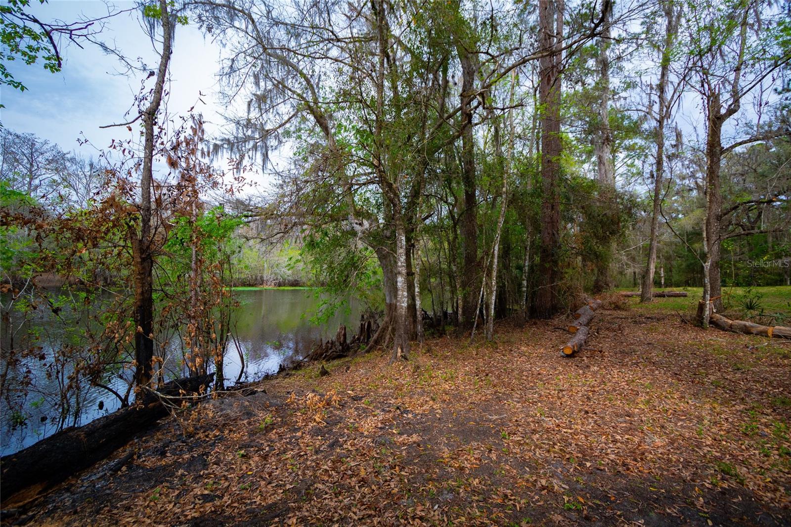 7822 CR 647, BUSHNELL, FL