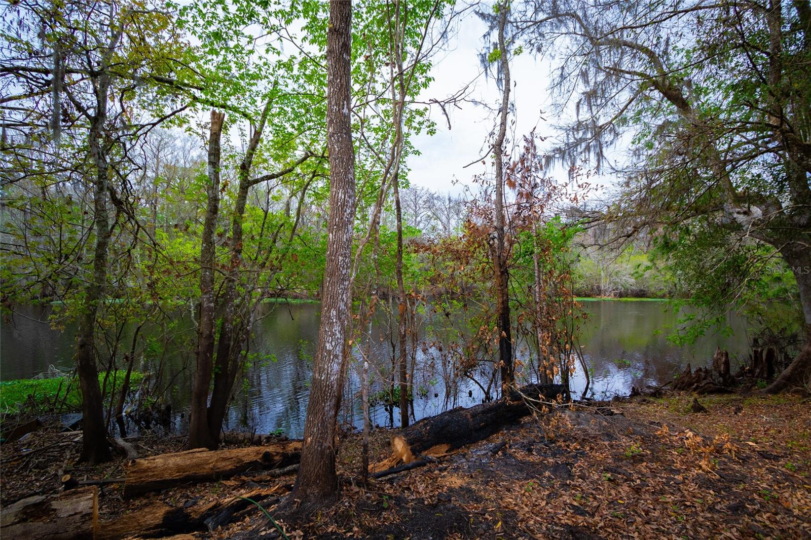 7822 CR 647, BUSHNELL, FL — photo 4