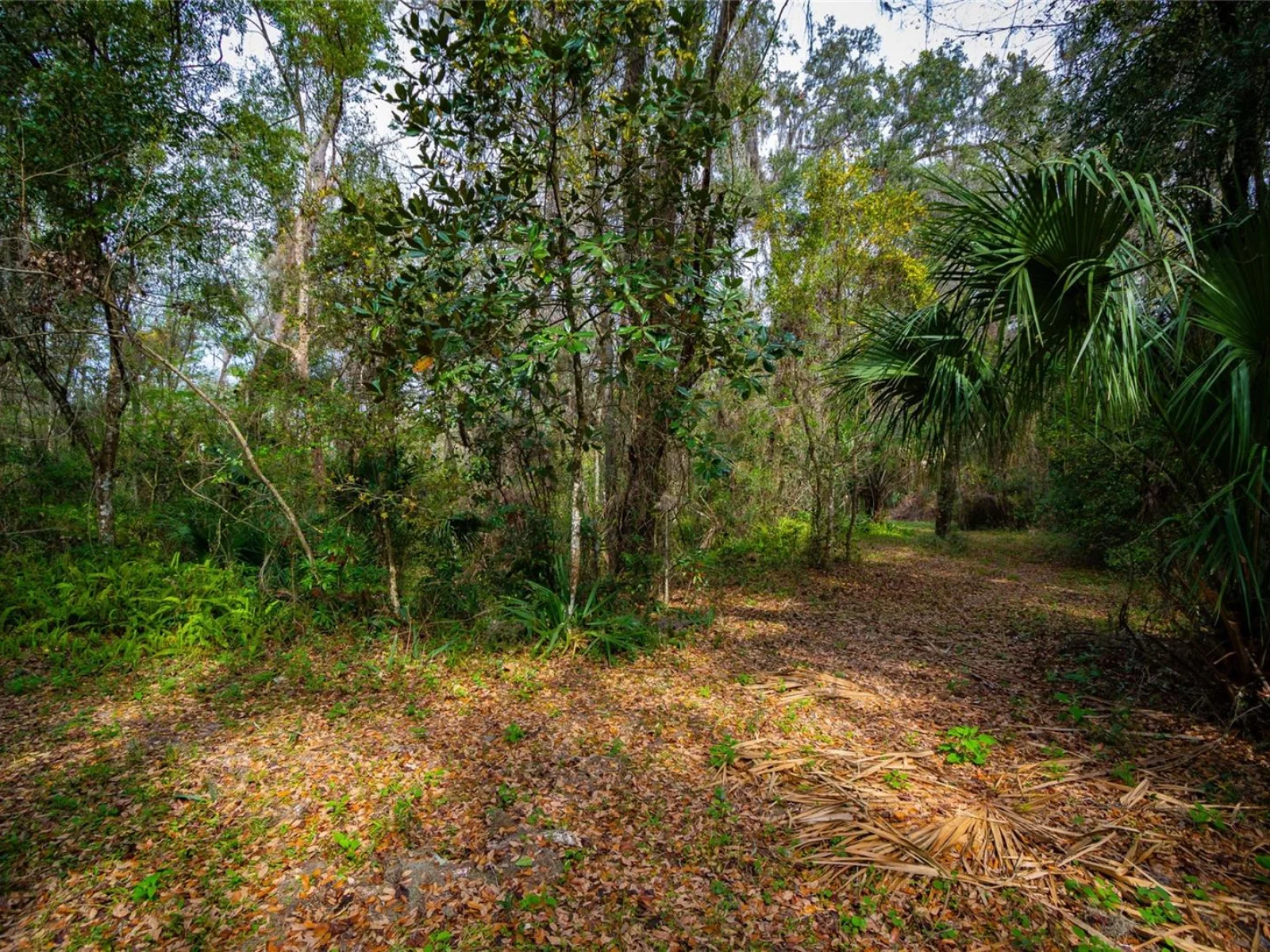 7822 CR 647, BUSHNELL, FL — photo 7