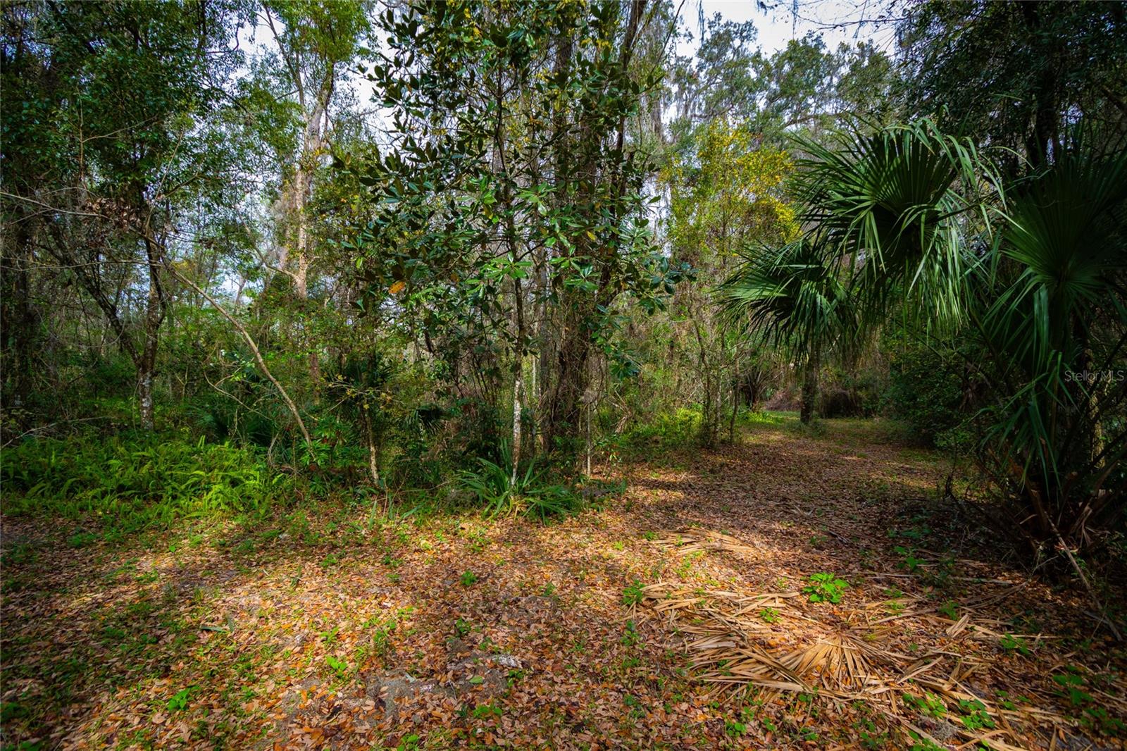 7822 CR 647, BUSHNELL, FL — photo 8