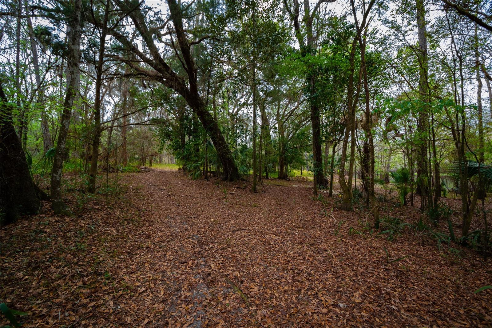 7822 CR 647, BUSHNELL, FL — photo 10