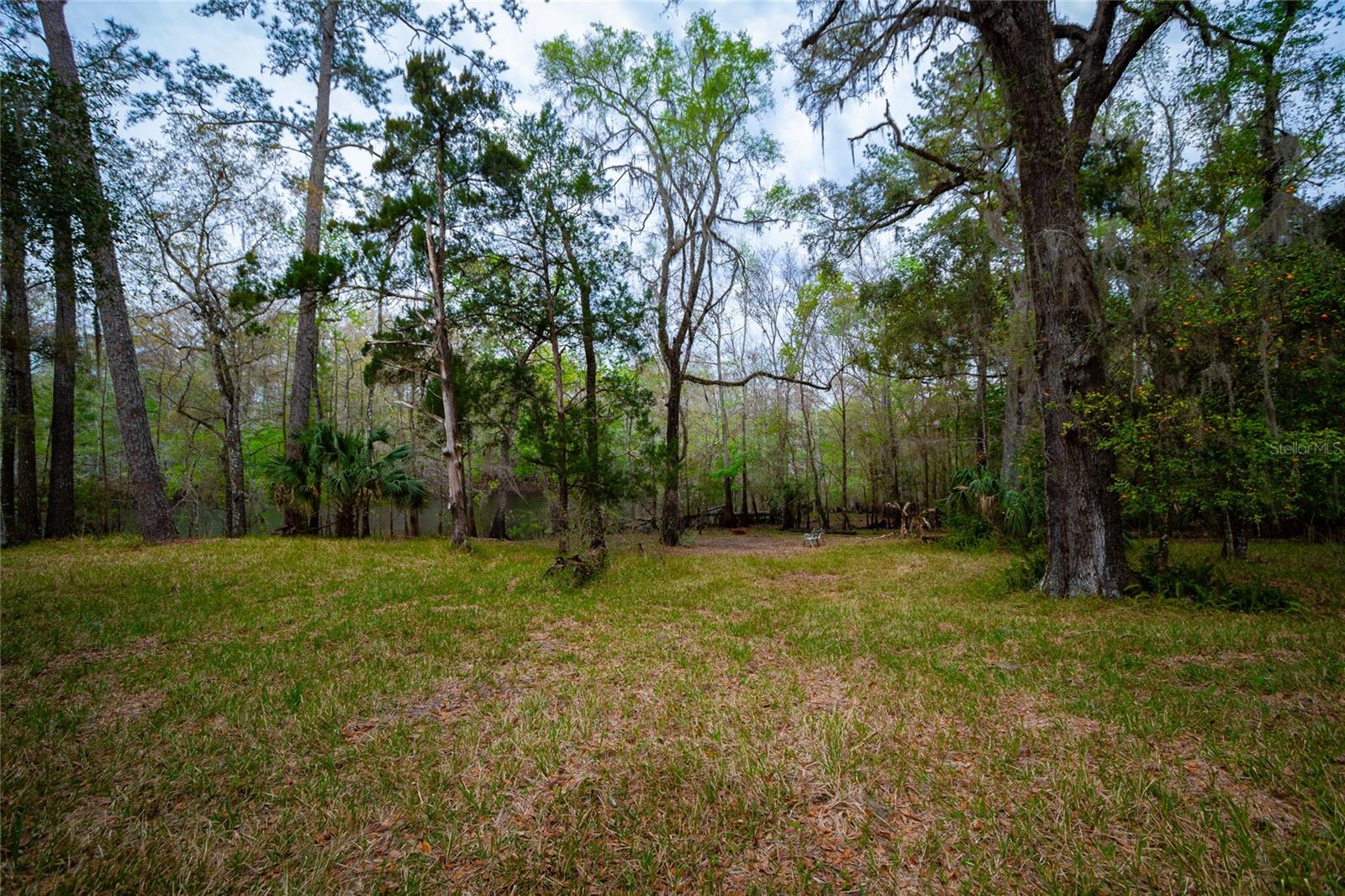 7822 CR 647, BUSHNELL, FL — photo 14
