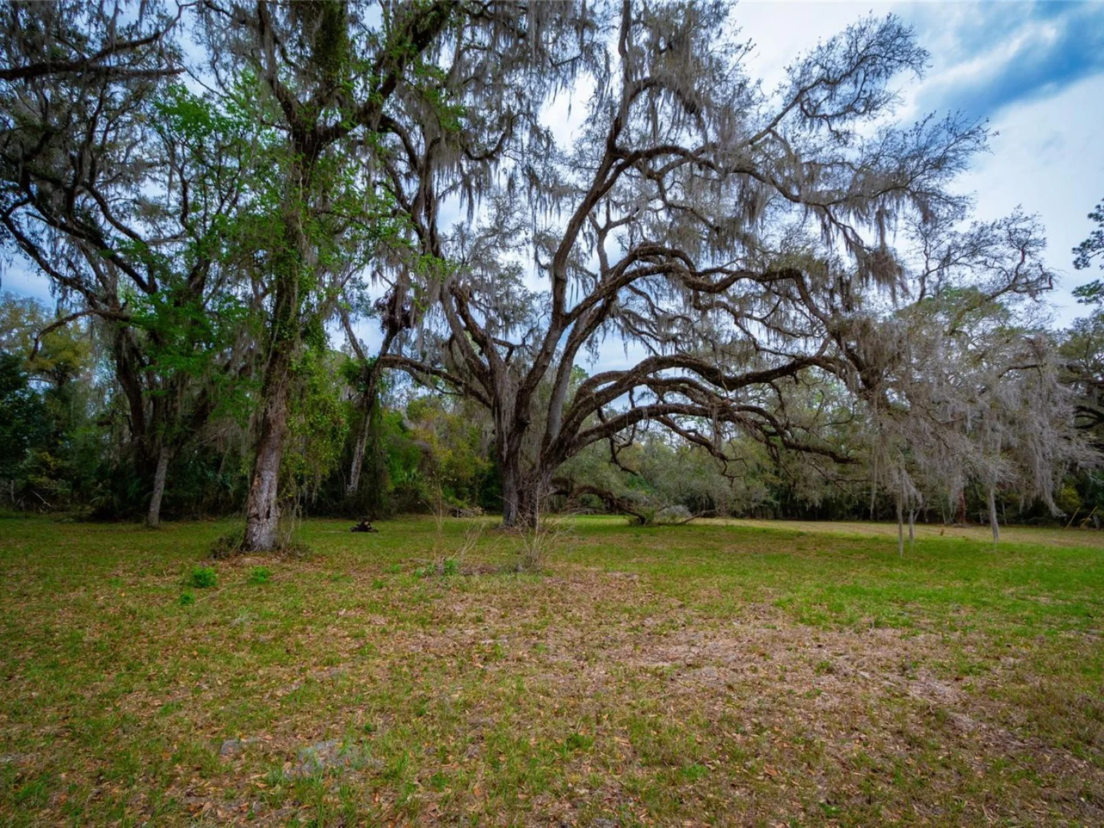 7822 CR 647, BUSHNELL, FL — photo 16