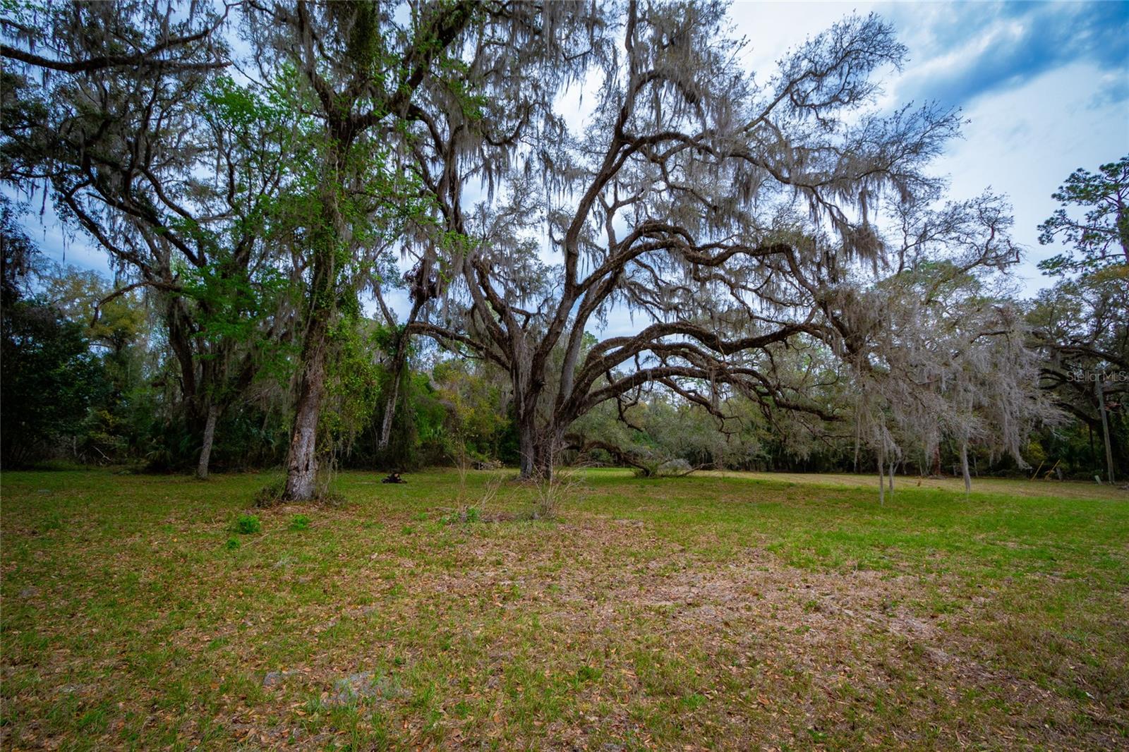 7822 CR 647, BUSHNELL, FL — photo 15