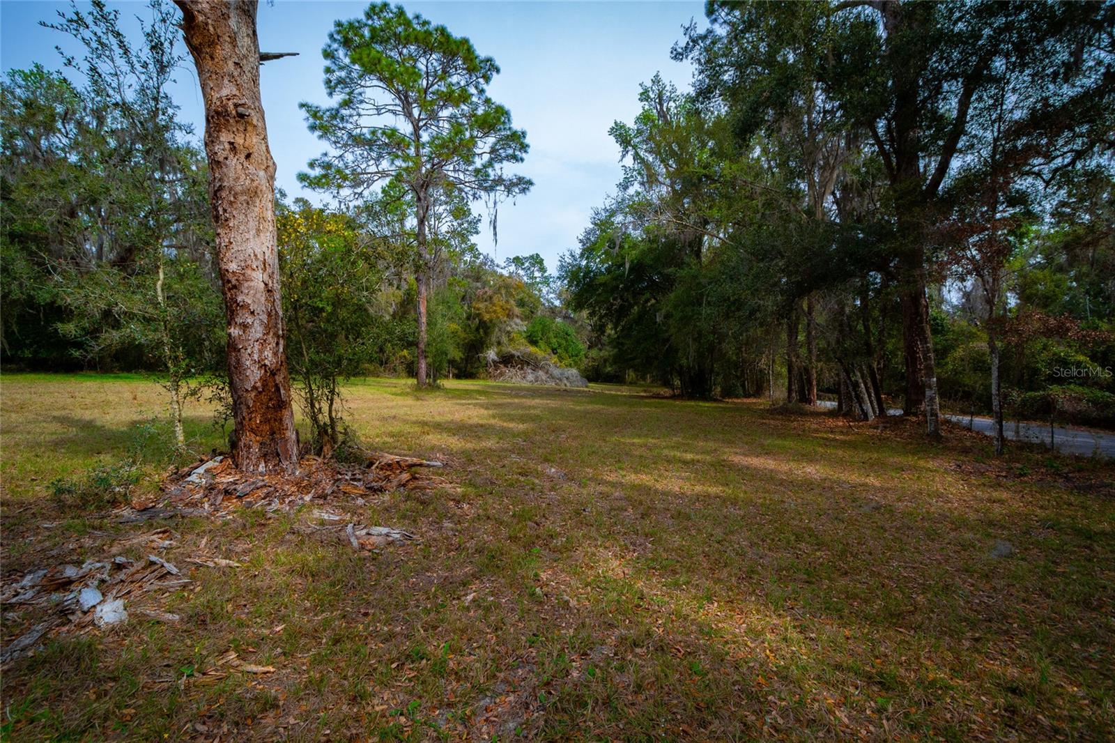 7822 CR 647, BUSHNELL, FL — photo 17