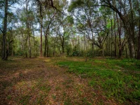 7822 CR 647 — photo 19