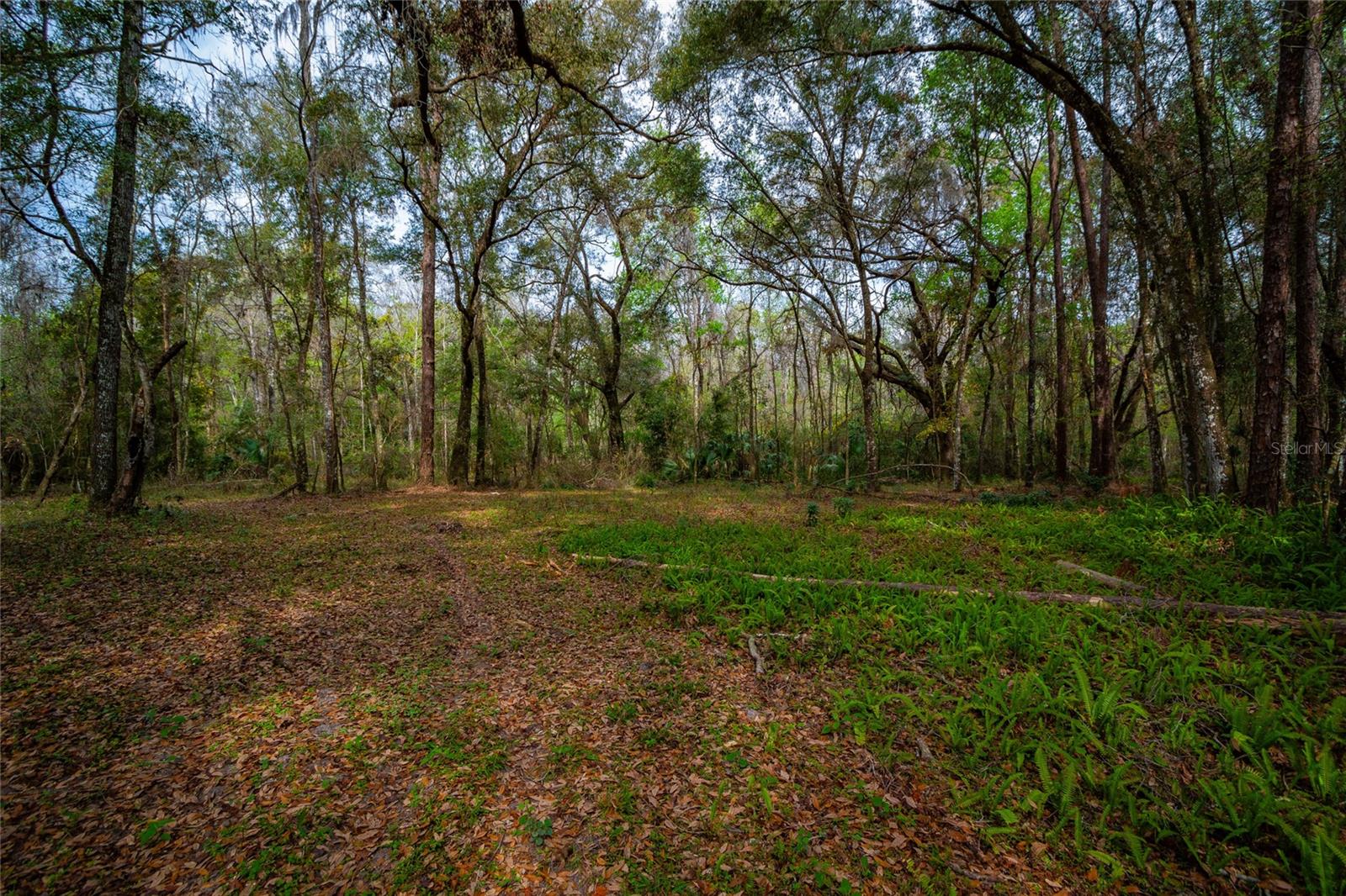 7822 CR 647, BUSHNELL, FL — photo 20