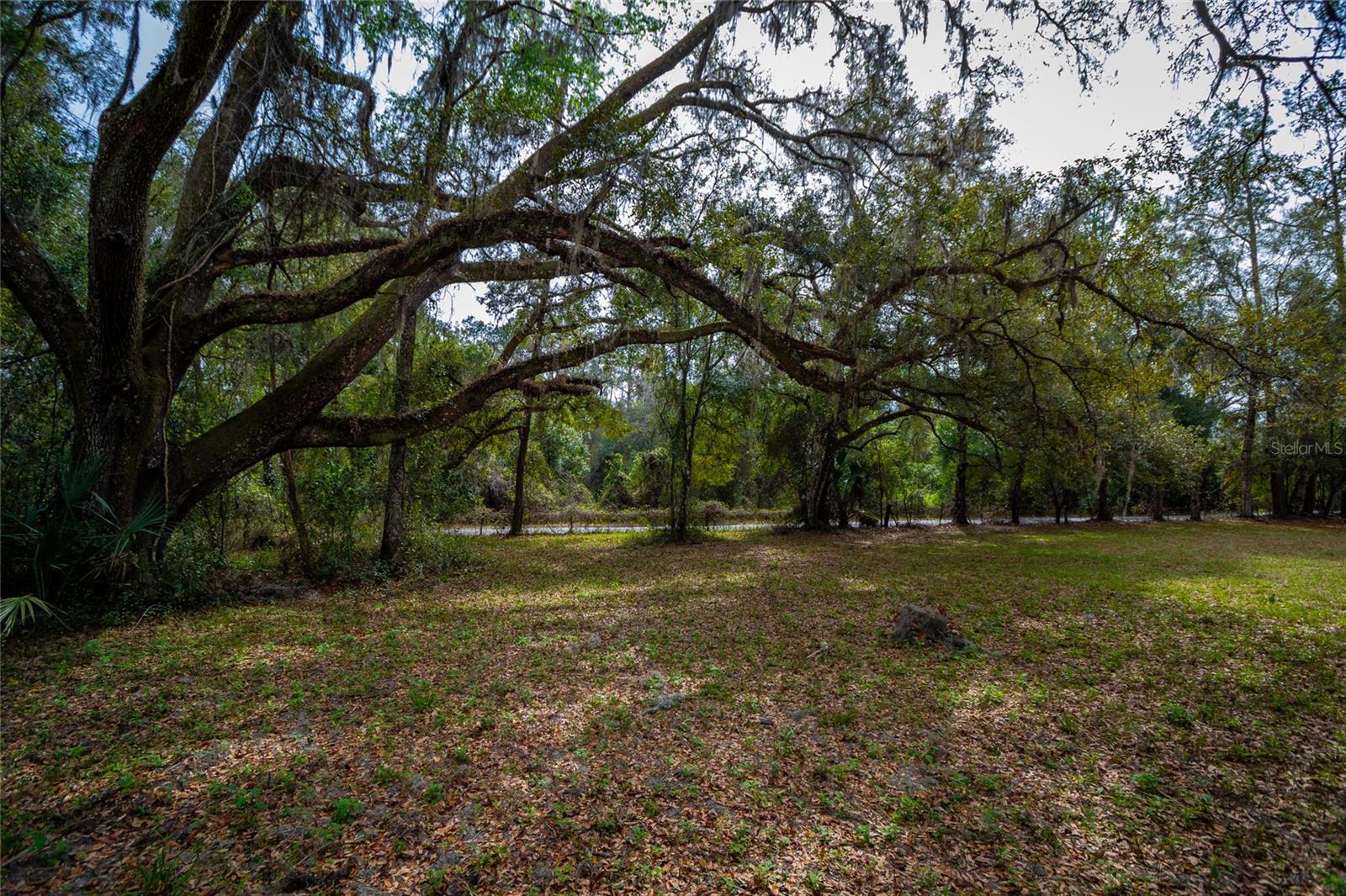 7822 CR 647, BUSHNELL, FL — photo 26