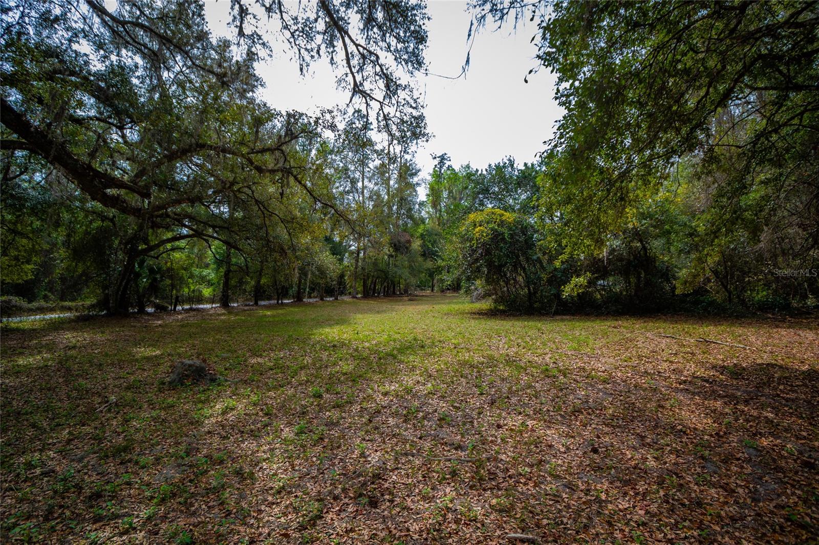 7822 CR 647, BUSHNELL, FL — photo 27