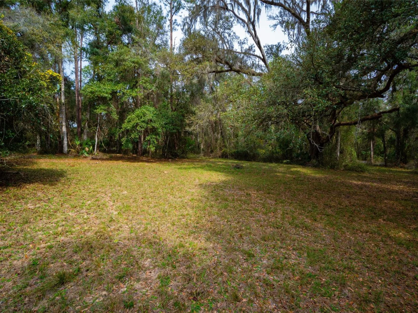 7822 CR 647, BUSHNELL, FL — photo 29