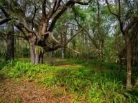 7822 CR 647 — photo 32