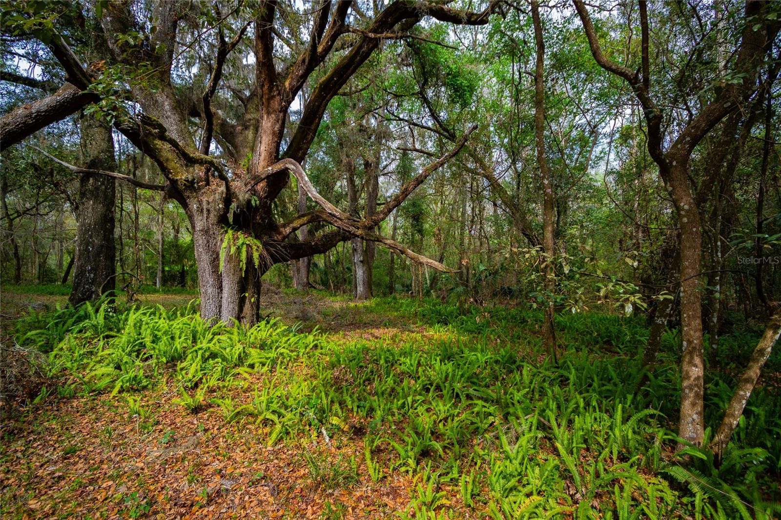 7822 CR 647, BUSHNELL, FL — photo 31