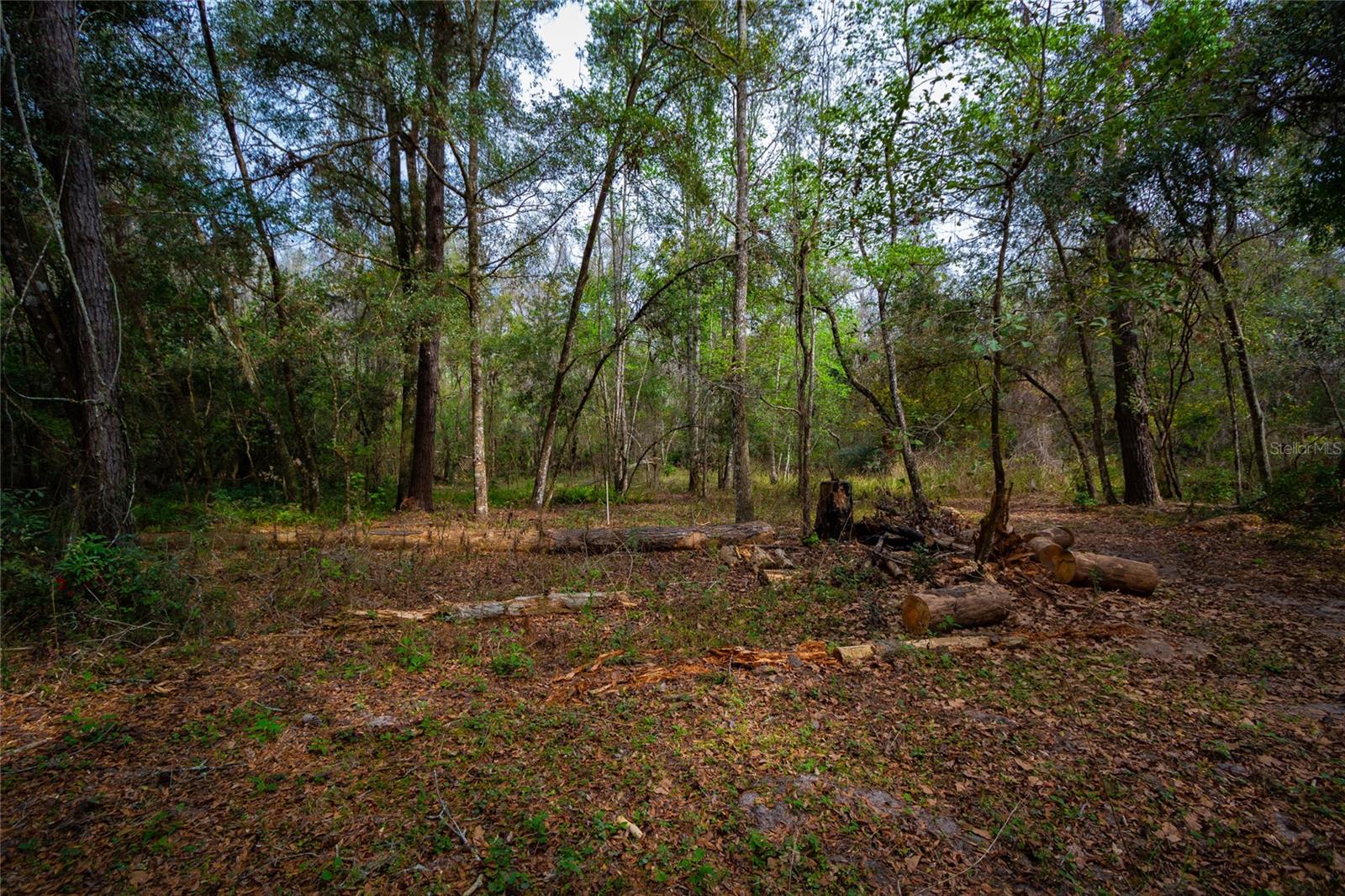 7822 CR 647, BUSHNELL, FL — photo 34