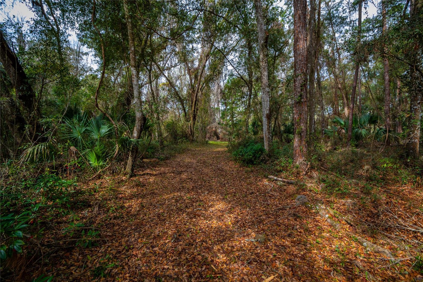 7822 CR 647, BUSHNELL, FL — photo 36