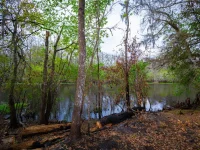 7822 CR 647 — photo 37