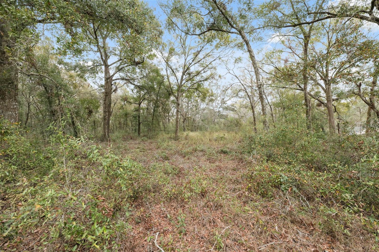 16308 SHADY HILLS RD, SPRING HILL, FL — photo 15
