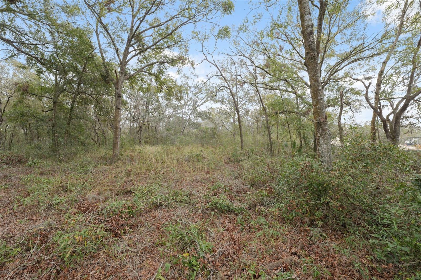 16308 SHADY HILLS RD, SPRING HILL, FL — photo 16