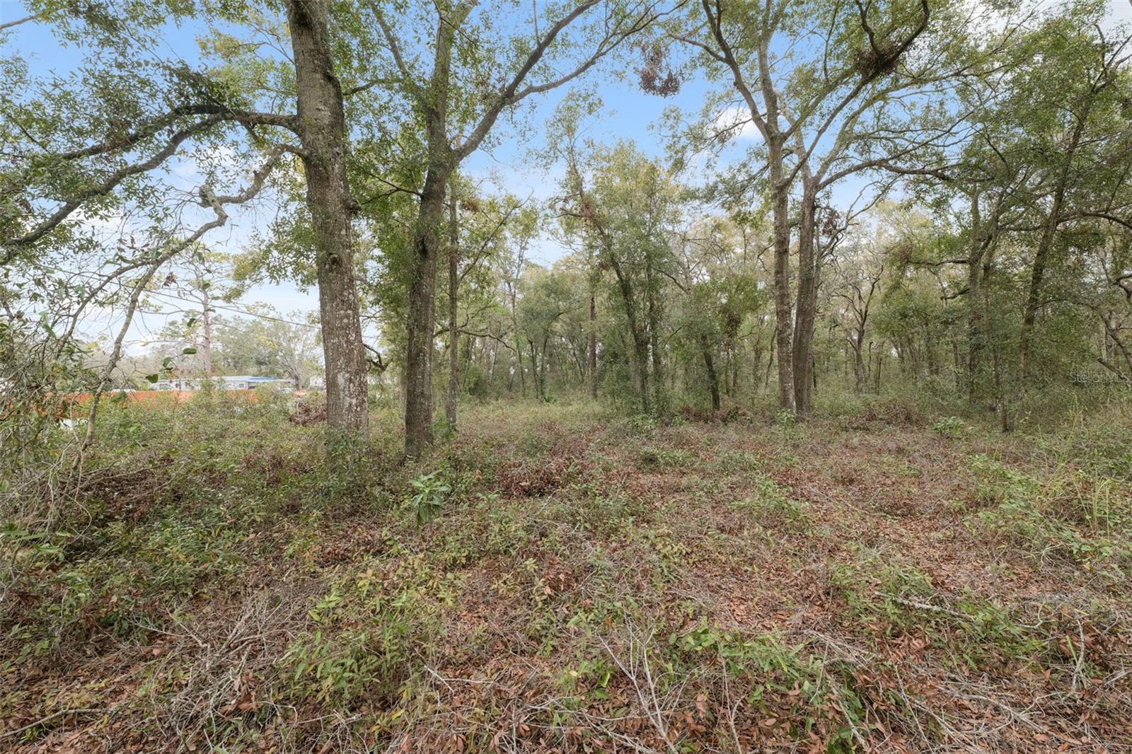 16308 SHADY HILLS RD, SPRING HILL, FL — photo 17