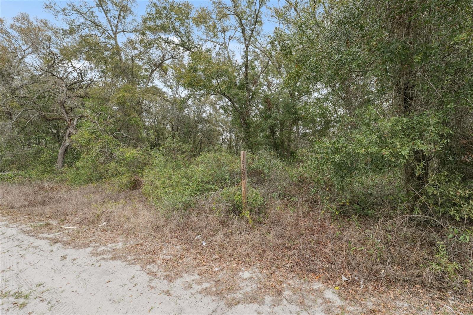 16308 SHADY HILLS RD, SPRING HILL, FL — photo 18