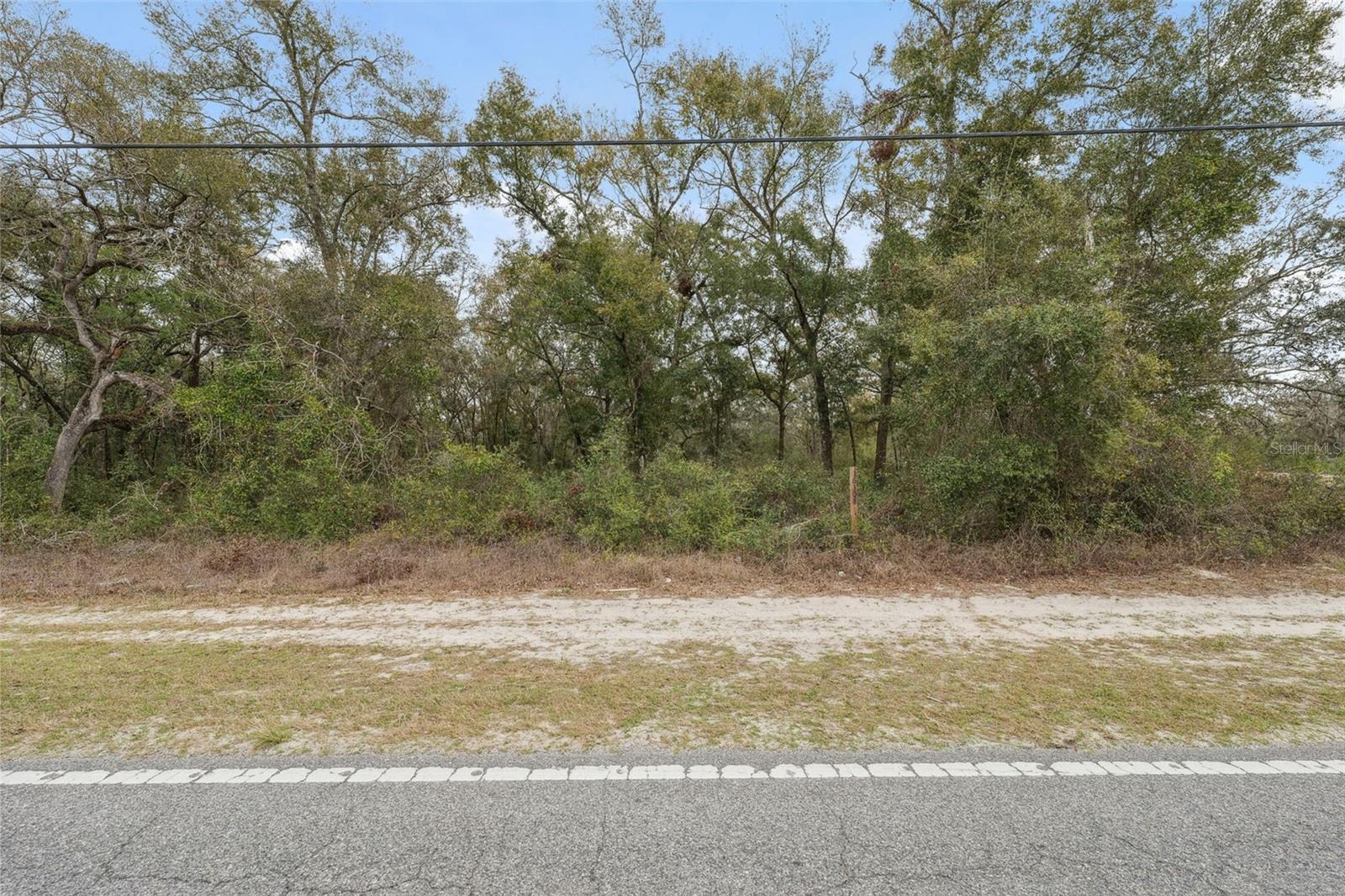 16308 SHADY HILLS RD, SPRING HILL, FL — photo 19