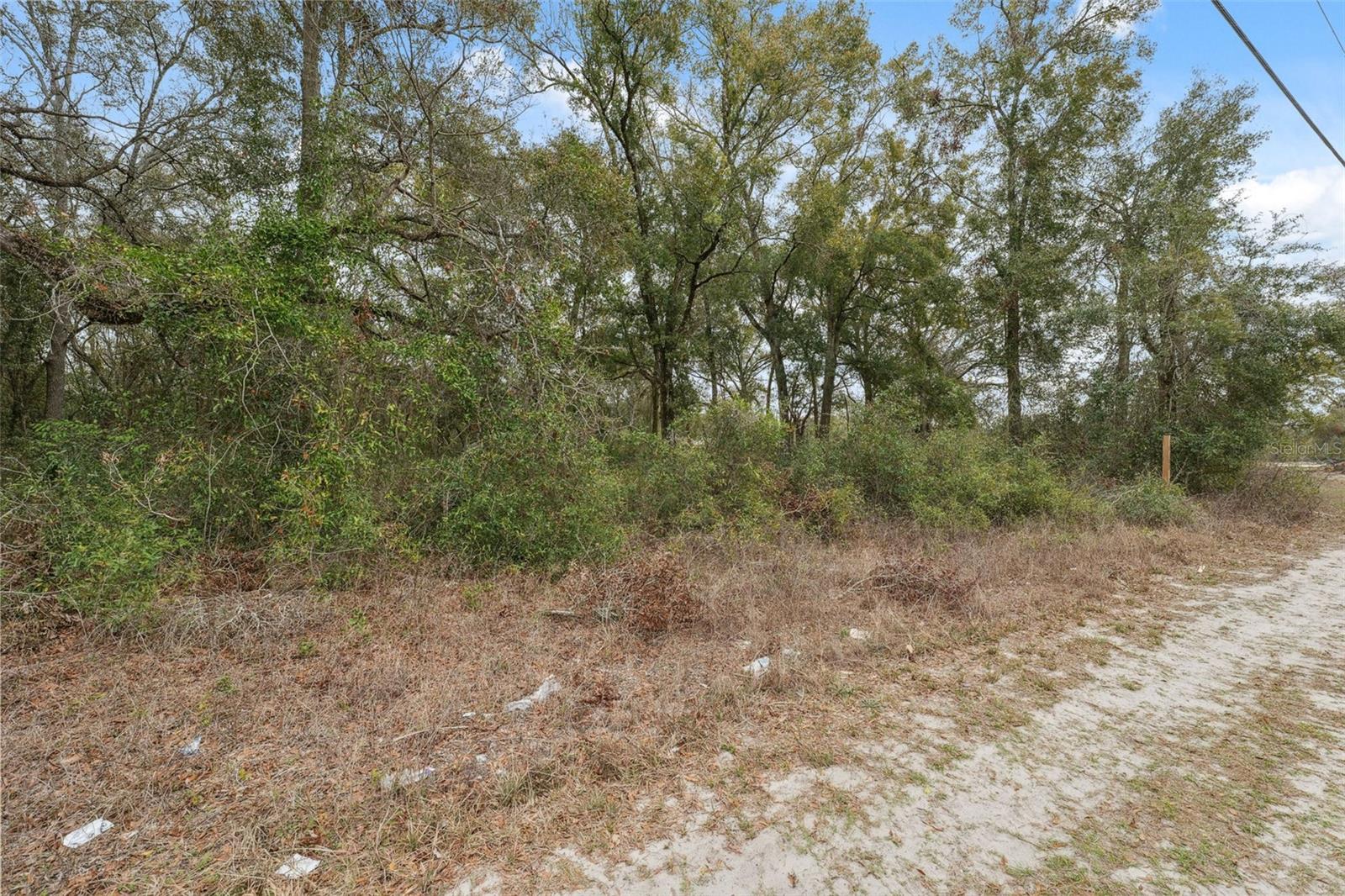 16308 SHADY HILLS RD, SPRING HILL, FL — photo 21