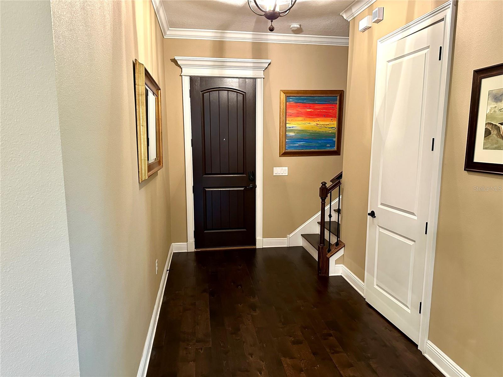 4302 W SAN PEDRO ST, TAMPA, FL — photo 10