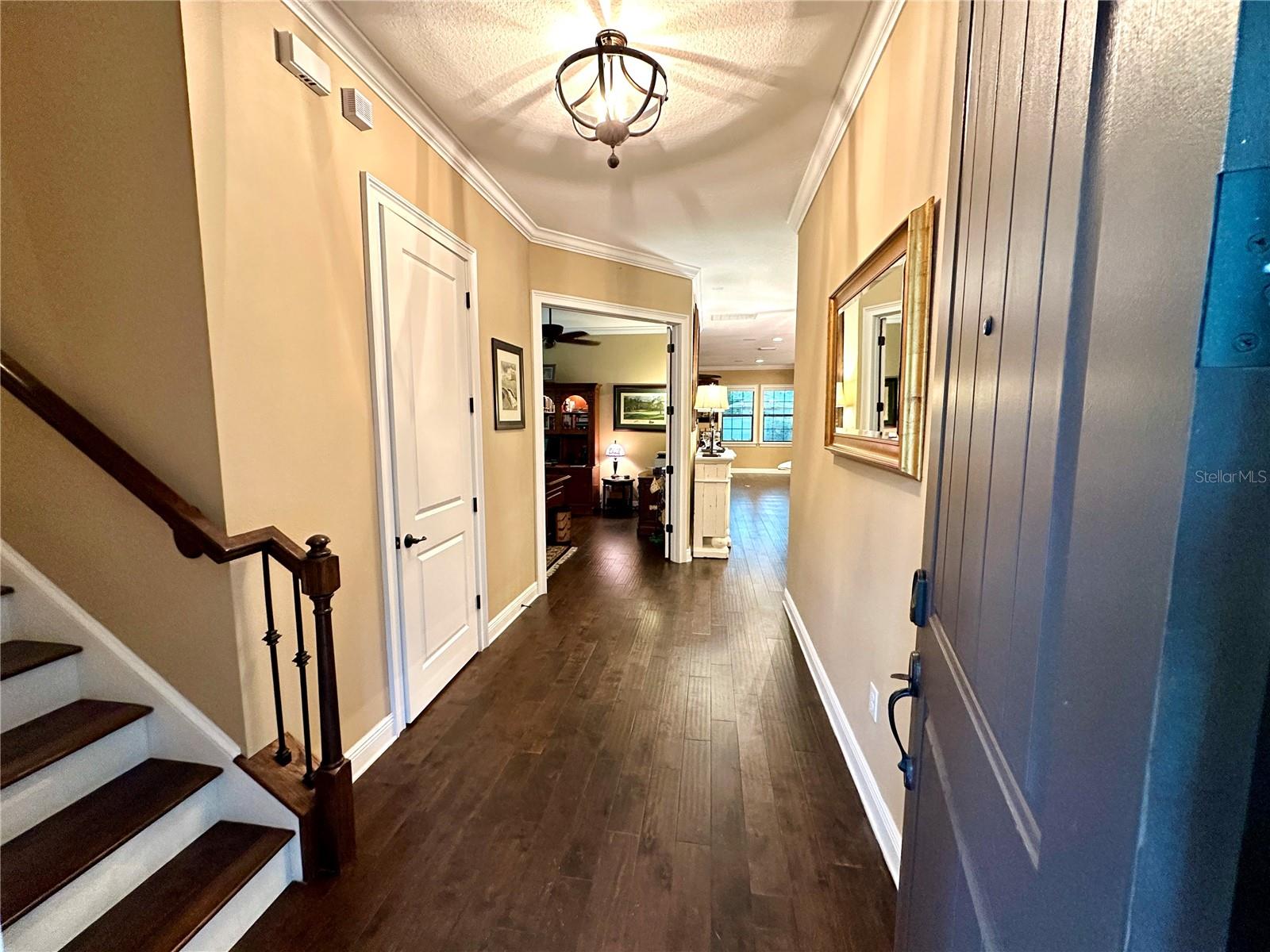 4302 W SAN PEDRO ST, TAMPA, FL — photo 8